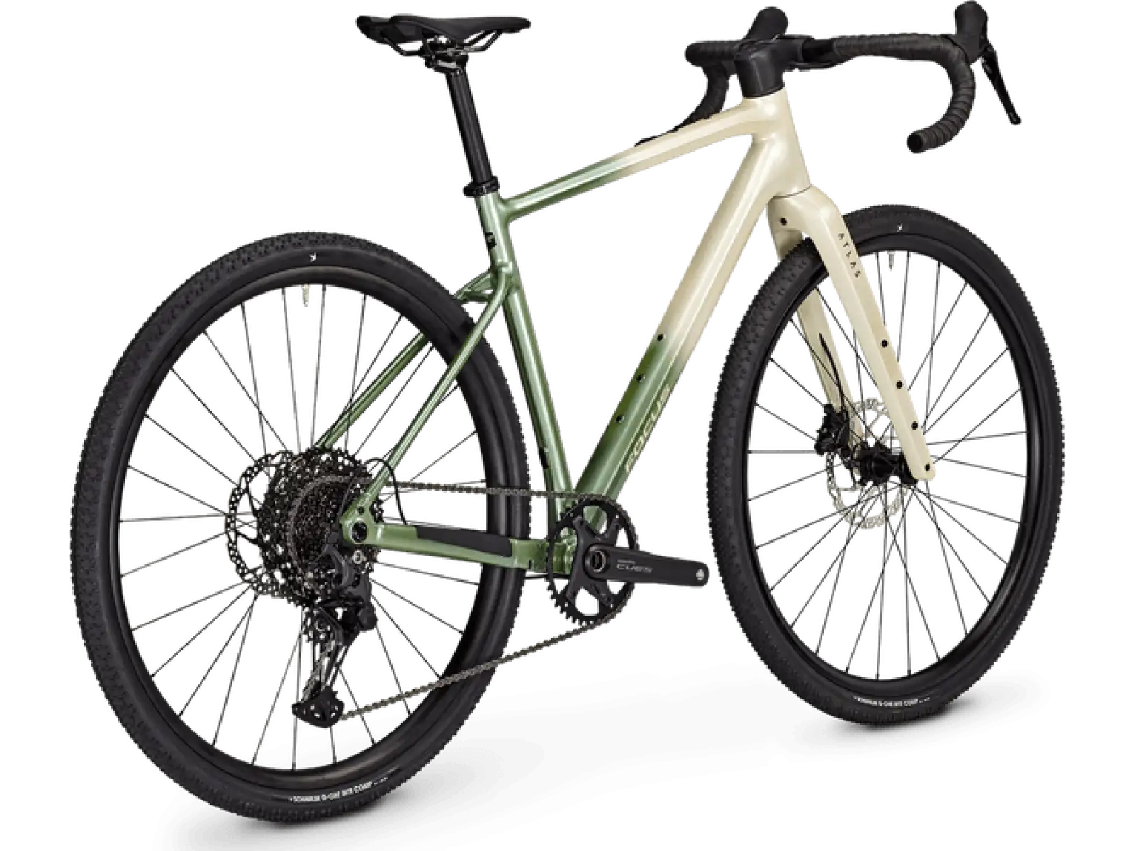 Focus Atlas 6.7 gravel kolo Champagne/Mintgrey
