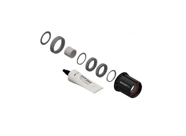 DT SWISS KIT Shimano HG ocel - přest. kit nábojů 3pawls na Ratchet LN