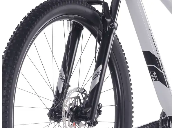 Rock Machine Blizz 30 horské kolo 29" Gloss Limerock Grey