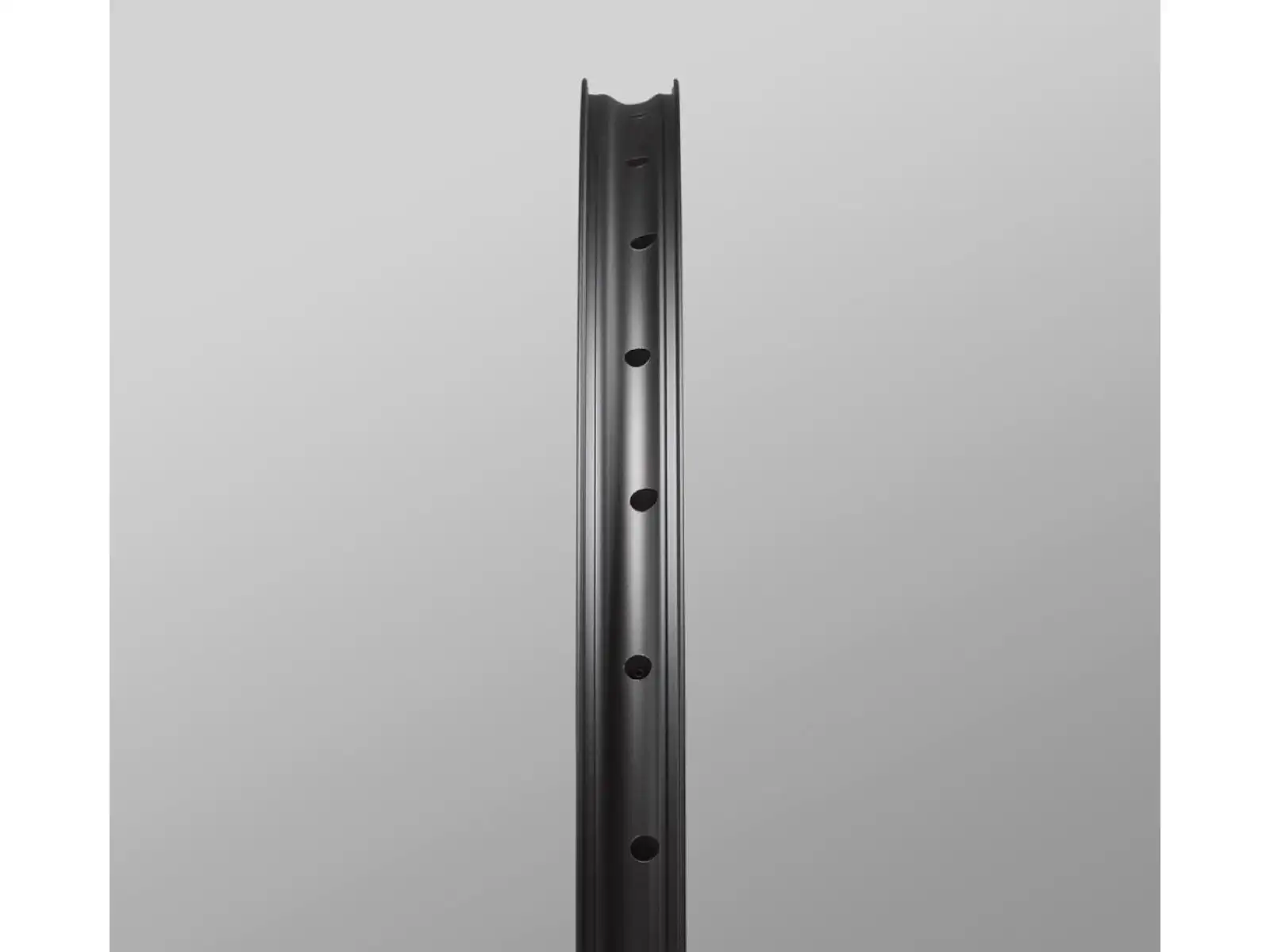 Reserve 30/SL AL 29" MTB ráfek 28 děr