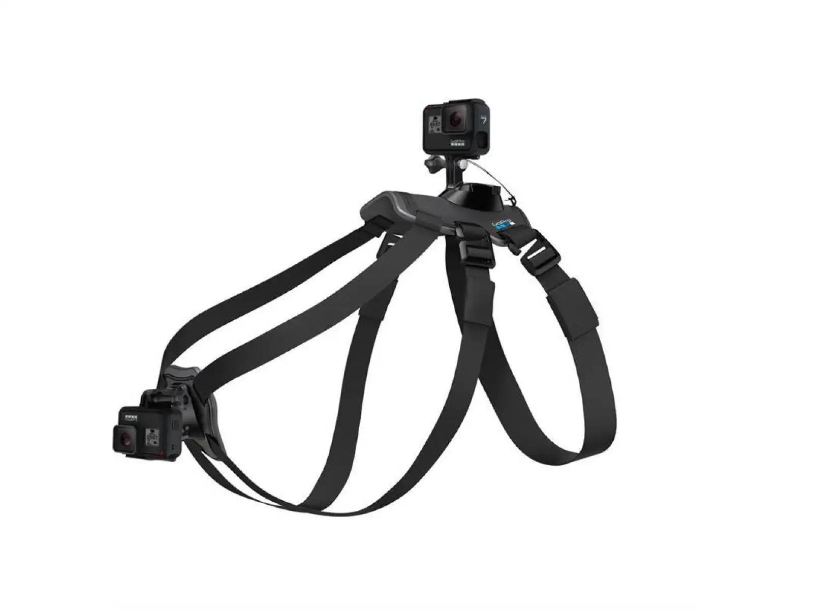 GoPro Psí postroj