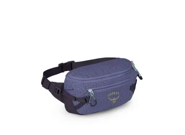 Osprey Transporter ledvinka Euphoria Purple