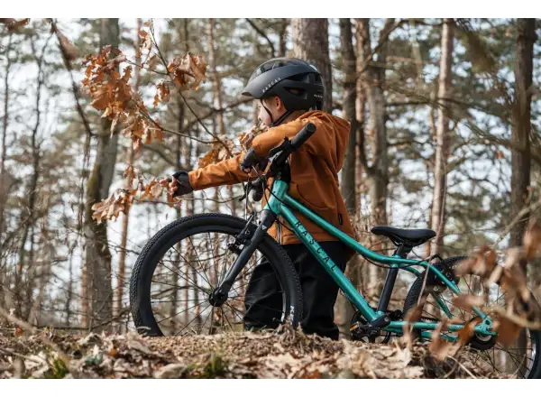 Rascal 20 Limited dětské kolo Emerald