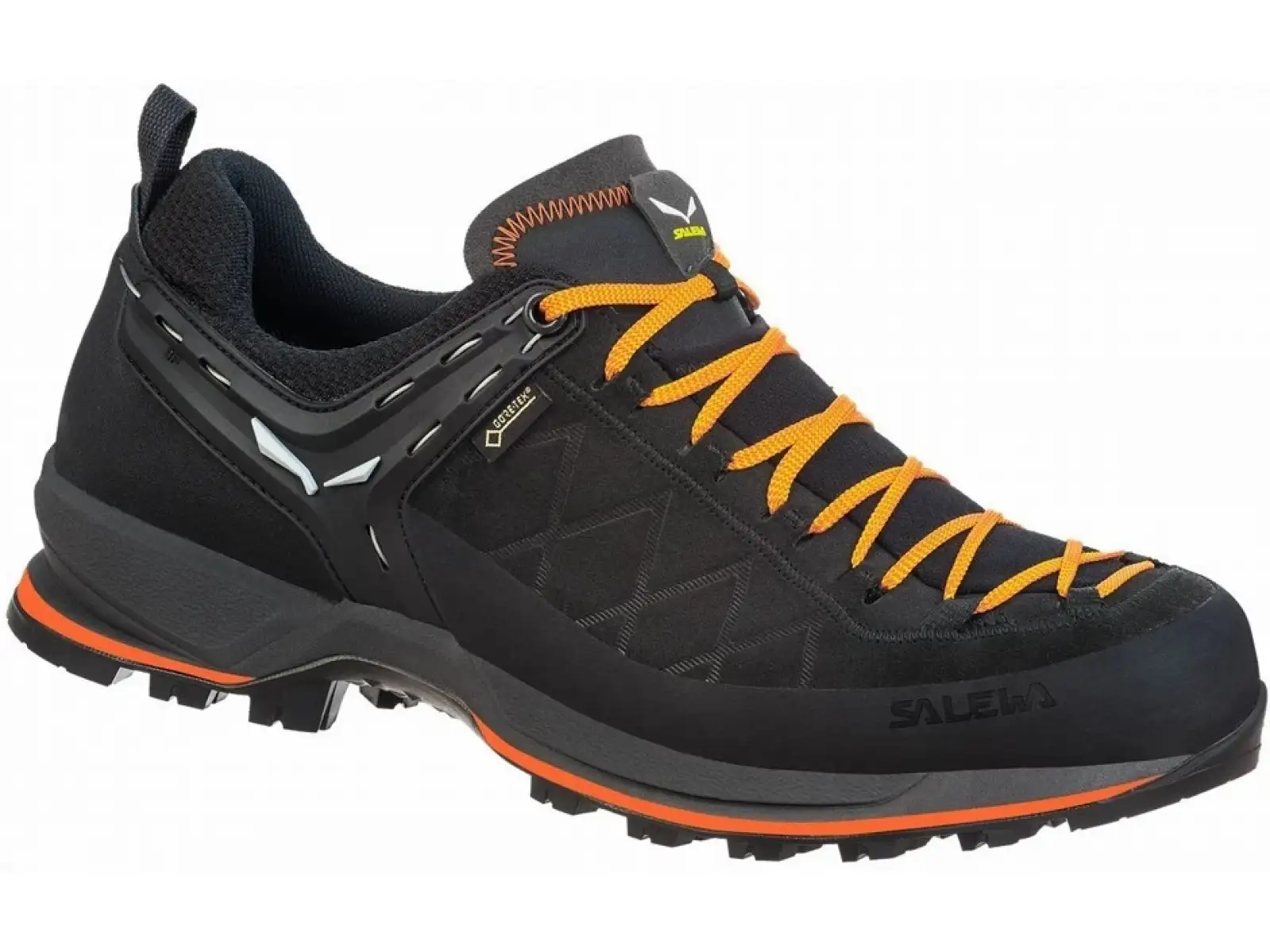 Salewa MTN Trainer 2 GTX MS pánské trekové boty černá