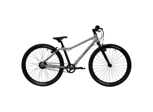Rascal 24 5 sp. Sturmey Archer dětské kolo Titan