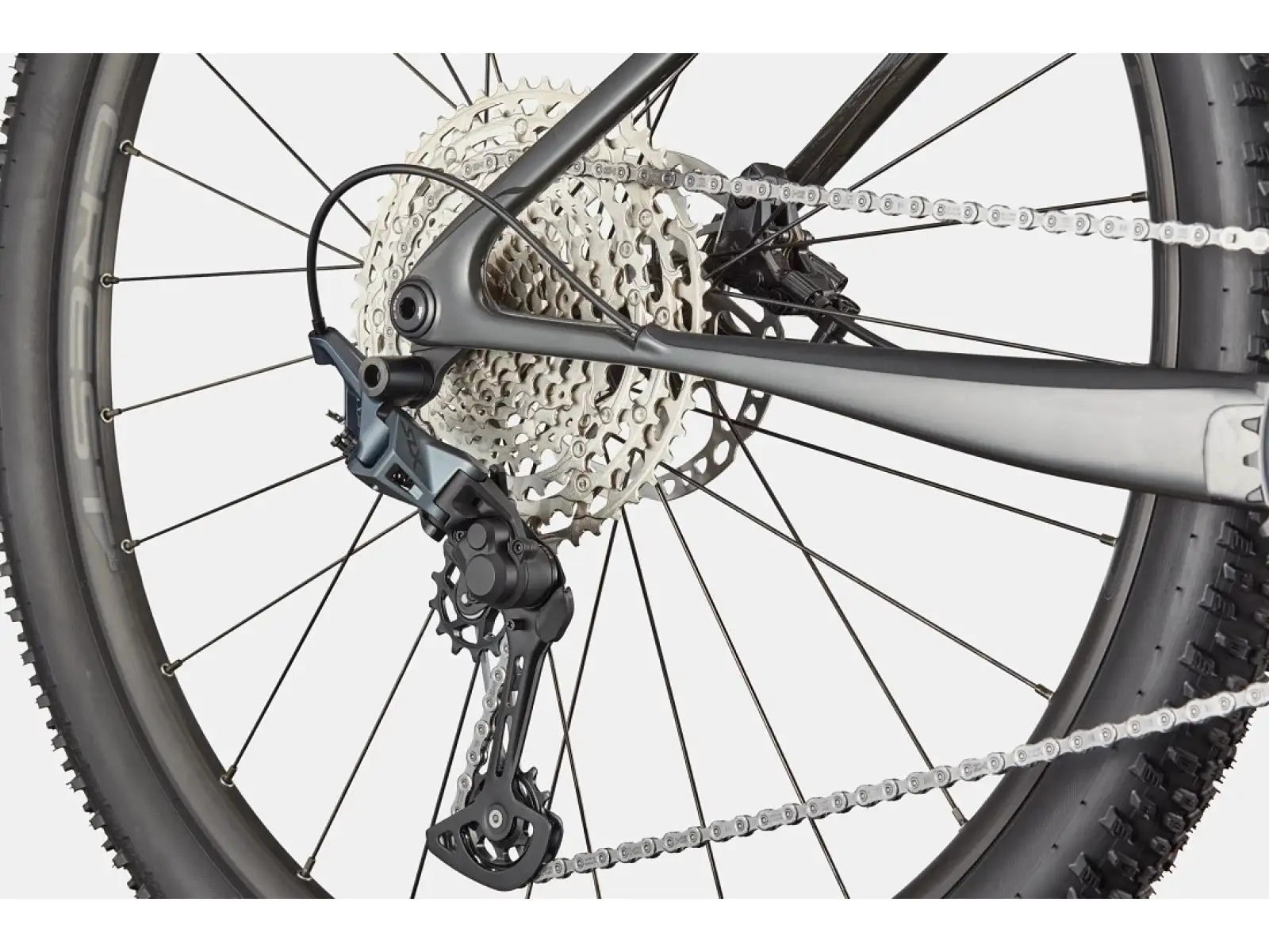Cannondale Scalpel HT Carbon 2 horské kolo Tiger Eye