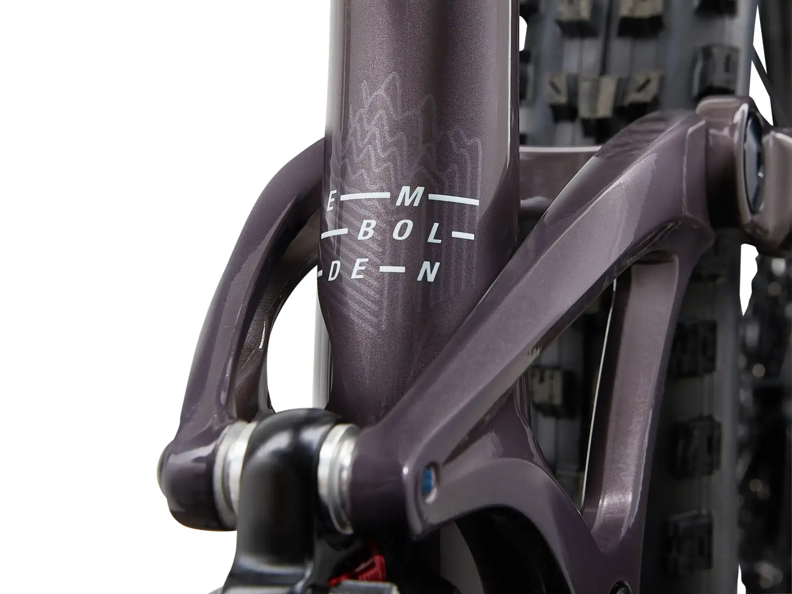 Liv Embolden 29 1 dámské horské kolo Charcoal Plum