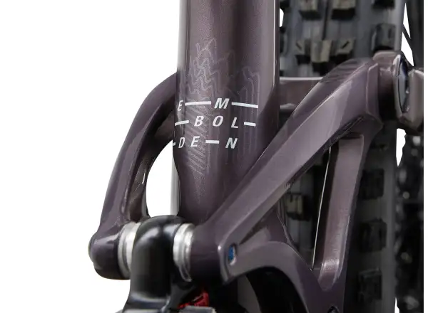 Liv Embolden 29 1 dámské horské kolo Charcoal Plum