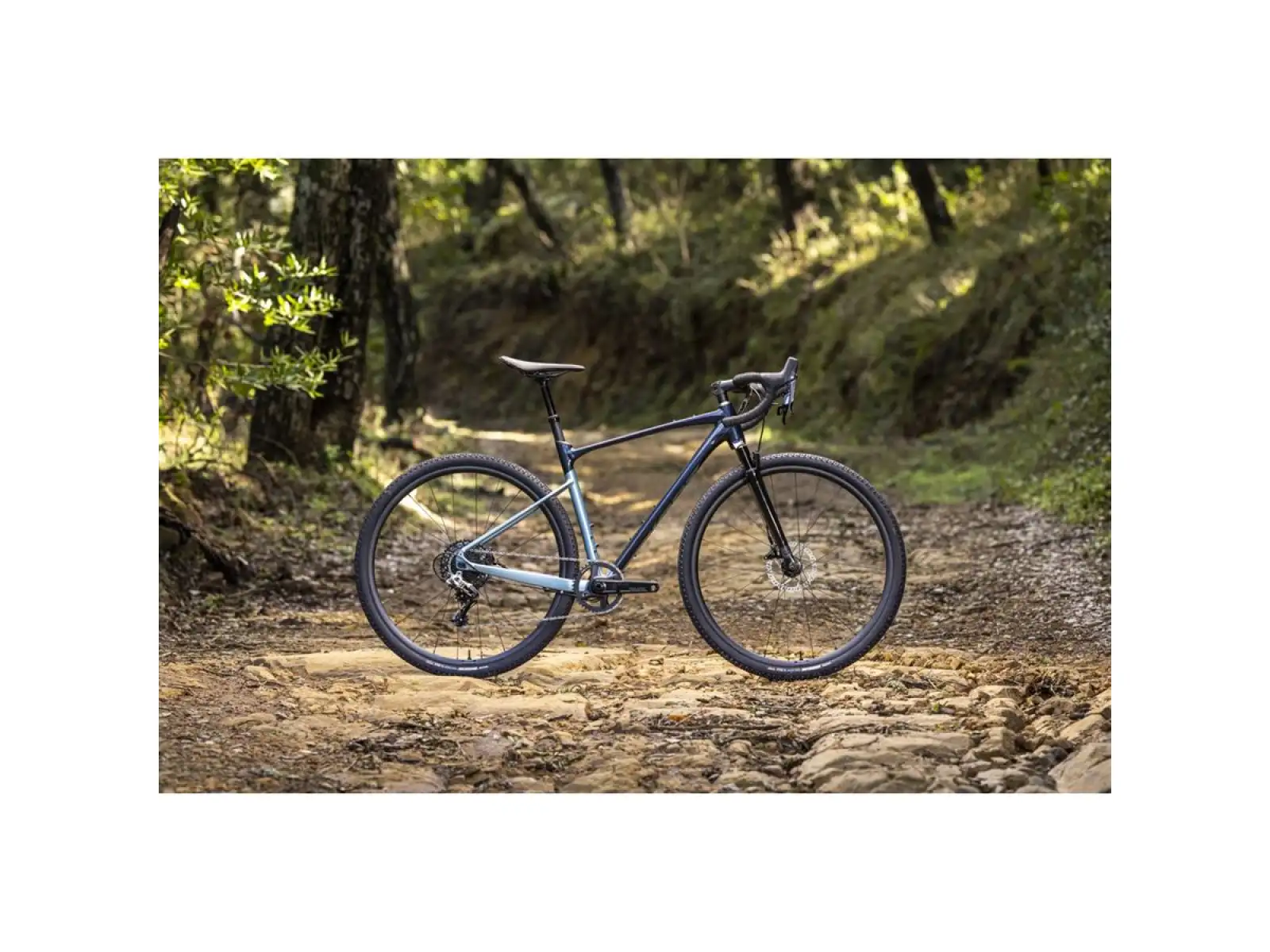 Giant Revolt X 1 gravel kolo cold night