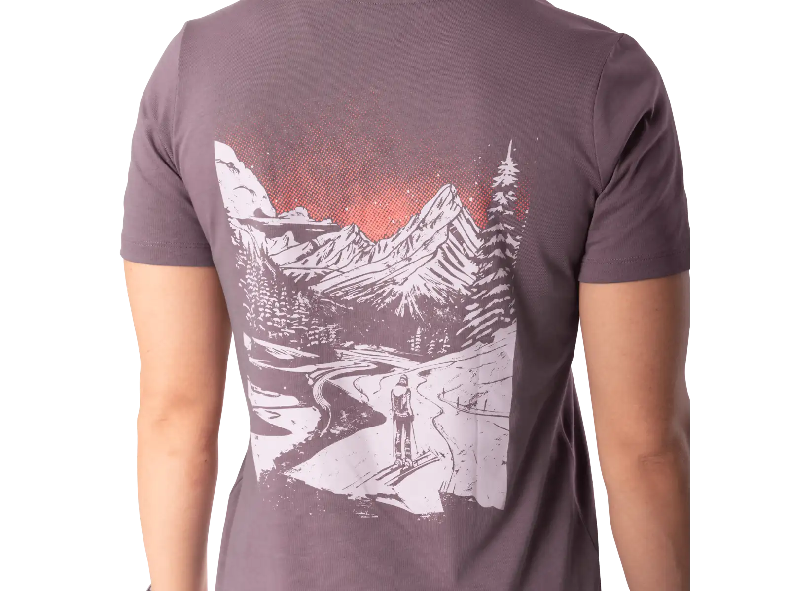 Dynafit Back Graphic Cotton dámské triko krátký rukáv Ephemera/Valley
