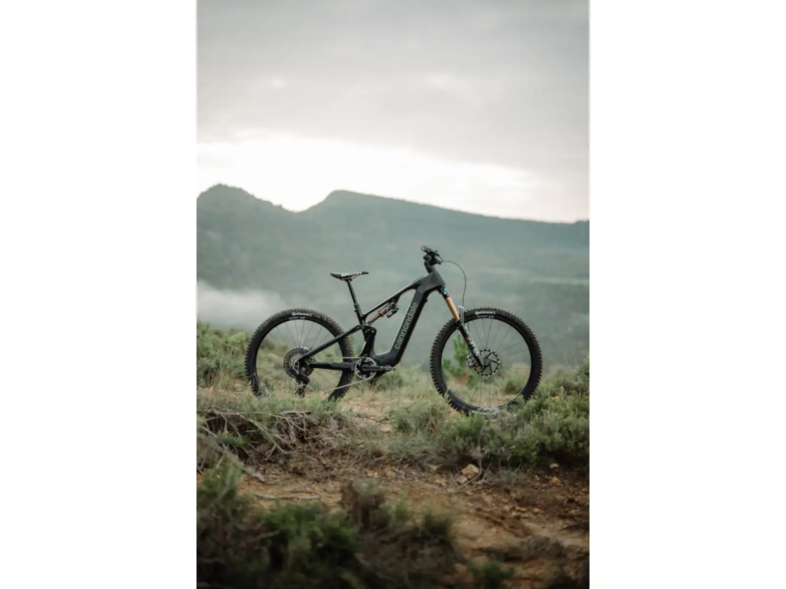 Cannondale Moterra Carbon 1 celoodpružené elektrokolo Matte Black (BBQ)