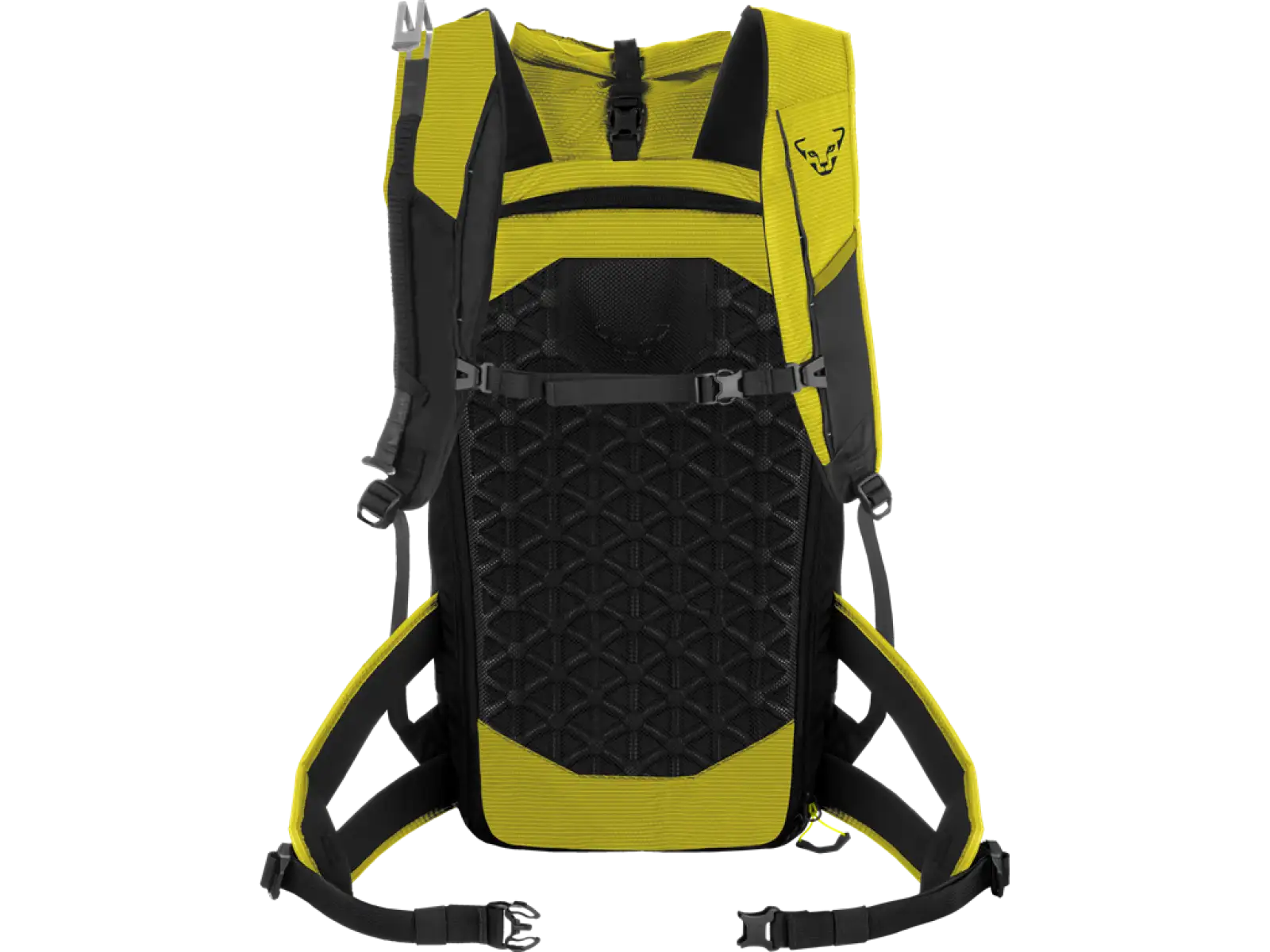 Dynafit Radical 30+ skialpinistický batoh 30 l Golden Lime/Black Out