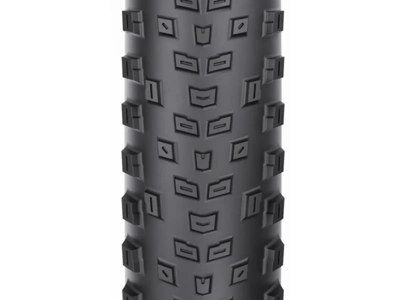 WTB Macro TCS Light Fast Rolling SG 29'' MTB plášť kevlar černá