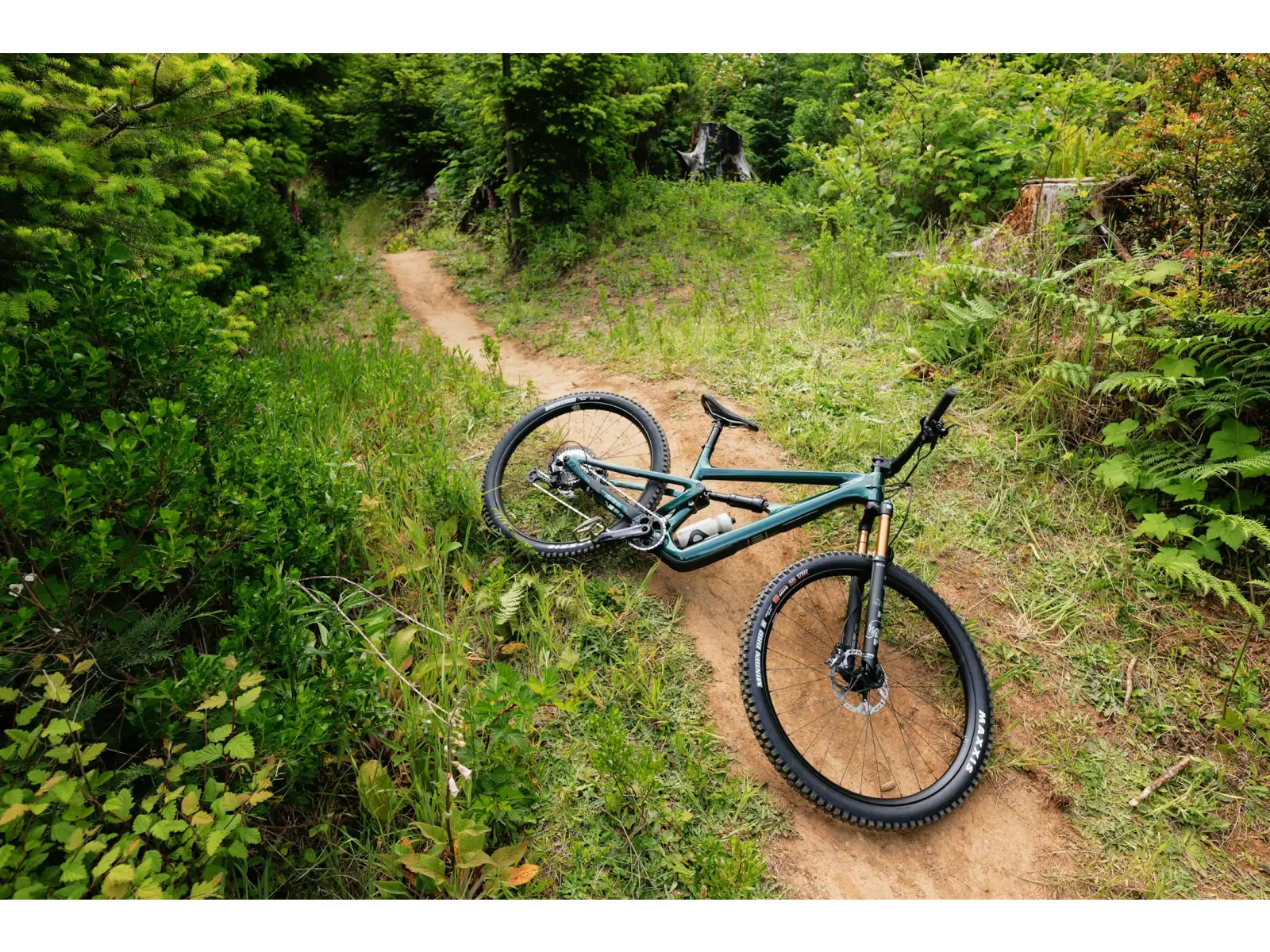 Ibis Ripley V5 XTR Di2 horské kolo Green Flash