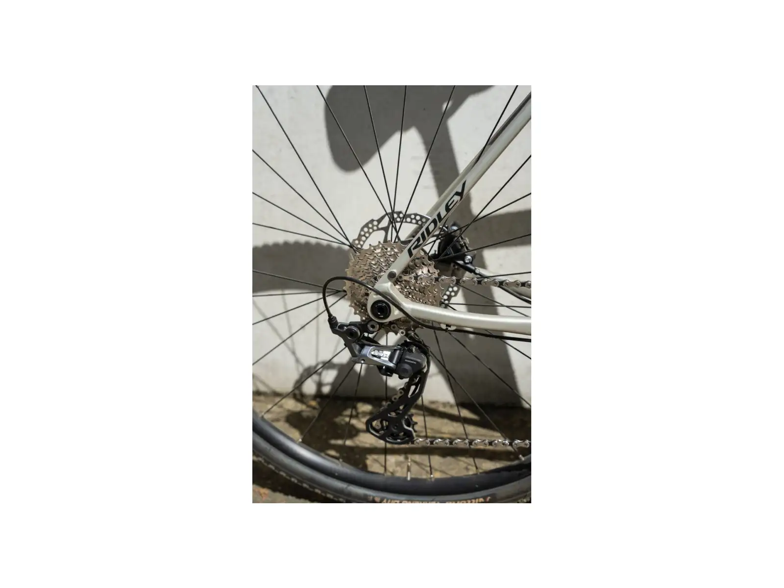 Ridley Grifn A GRX600 gravel kolo Chain Silver Gray/Black
