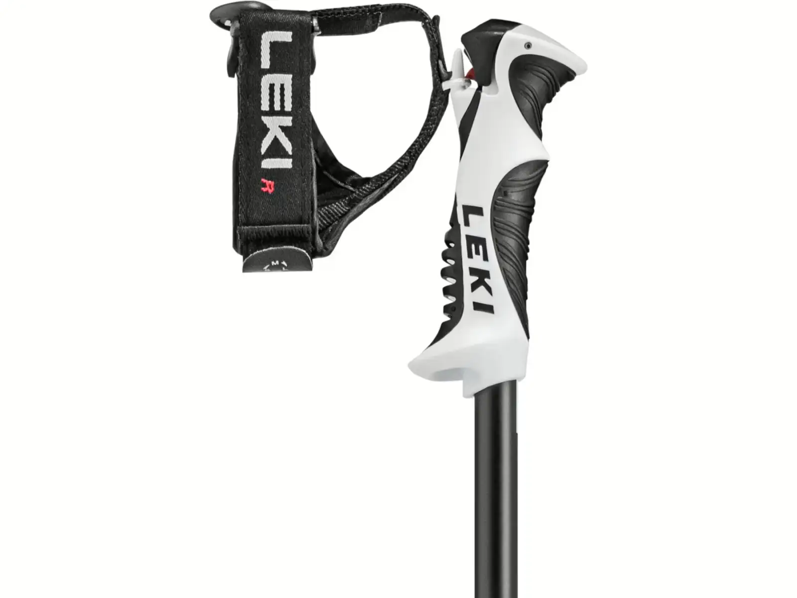 Leki Bold S sjezdové hole Dark Anthracite/Black/White
