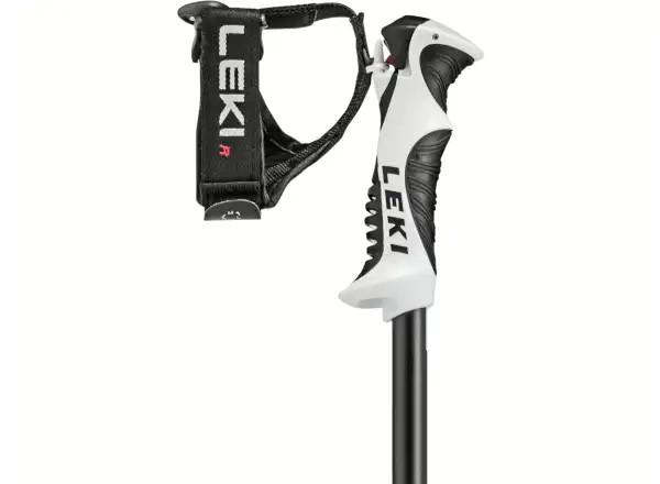Leki Bold S sjezdové hole Dark Anthracite/Black/White