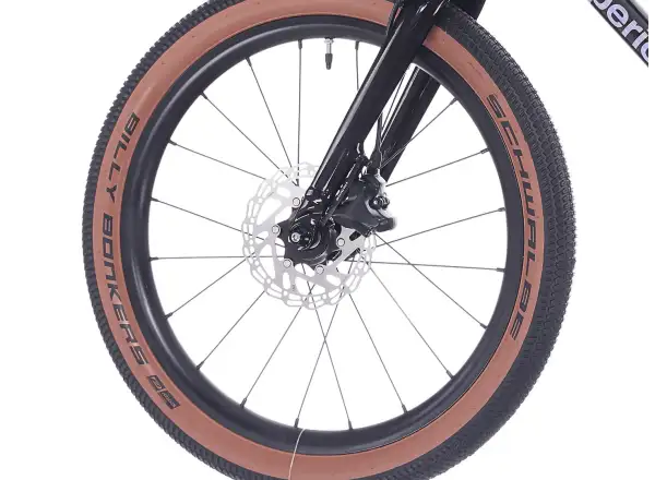 Superior TEAM 20 kolo Gloss Brushed Alu / Rainbow Black