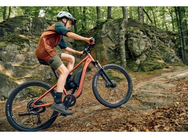 Giant Talon E+ Junior 24 dětské elektrokolo Terracotta