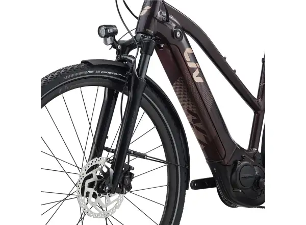 Liv Amiti E+2 trekingové elektrokolo rosewood