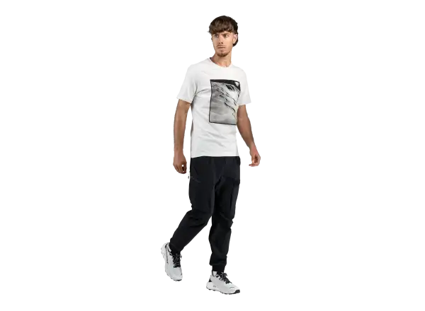 Dynafit Graphic Cotton pánské triko krátký rukáv Nimbus/First Track