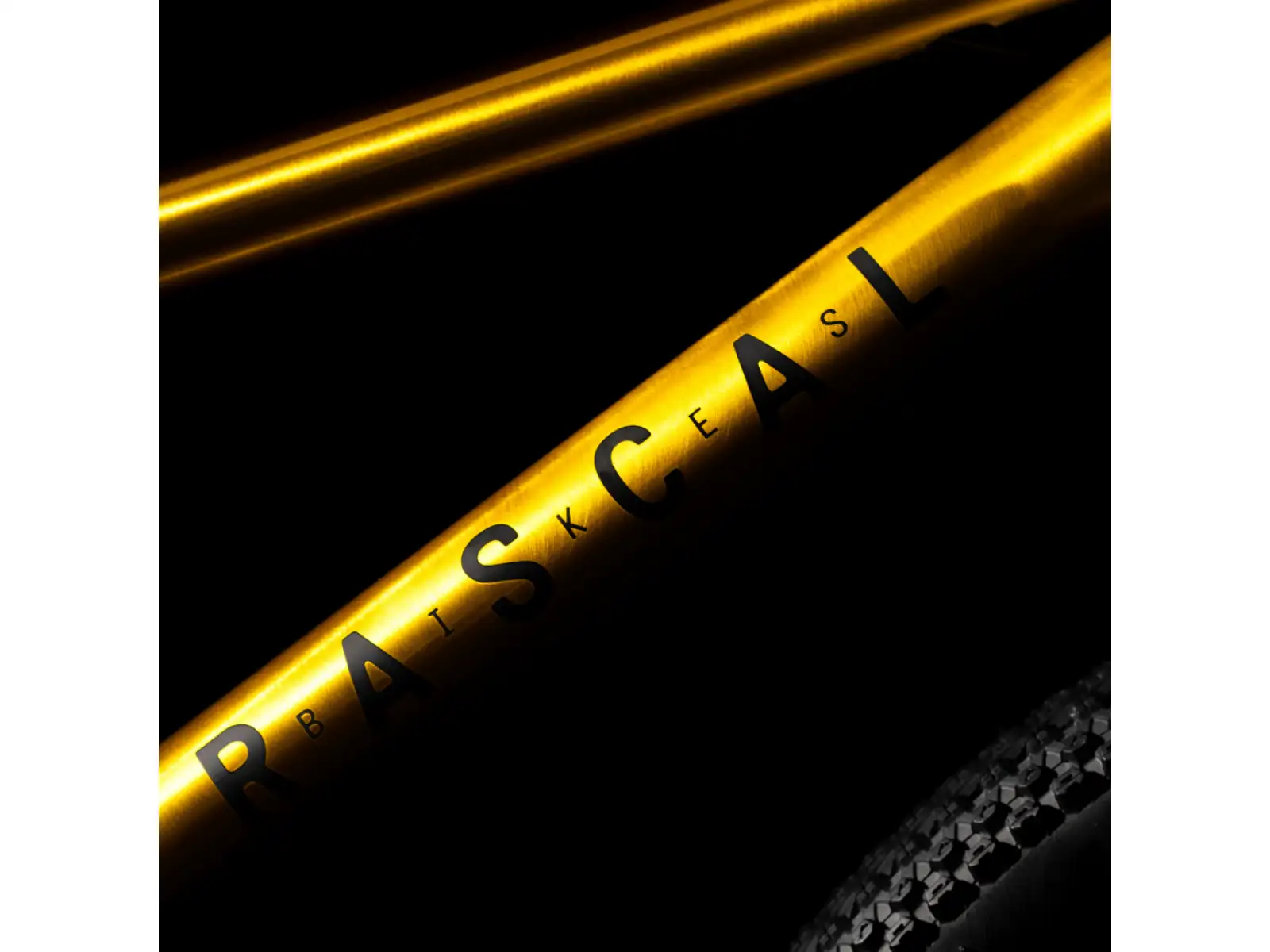 Rascal 20 dětské kolo Gold
