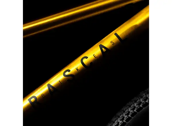 Rascal 20 dětské kolo Gold