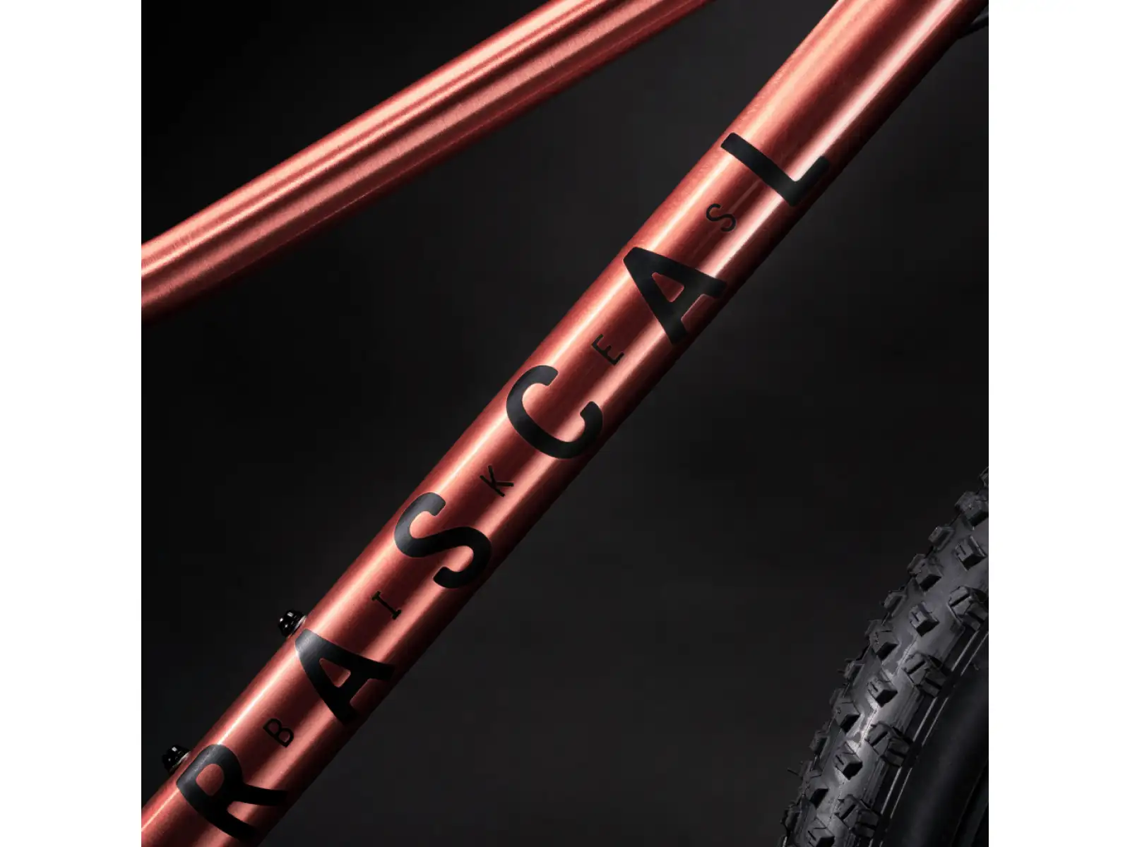 Rascal Wild 24 dětské kolo Bronze