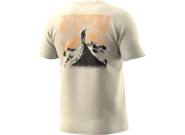 Dynafit Back Graphic Cotton pánské triko krátký rukáv Overcast/Summit