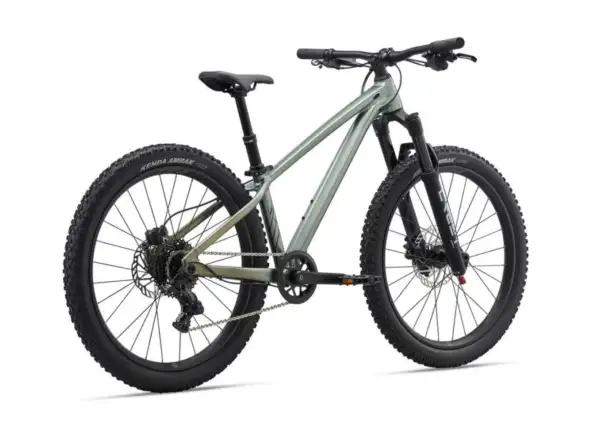 Liv STP 24 dětské horské kolo Alpine Green