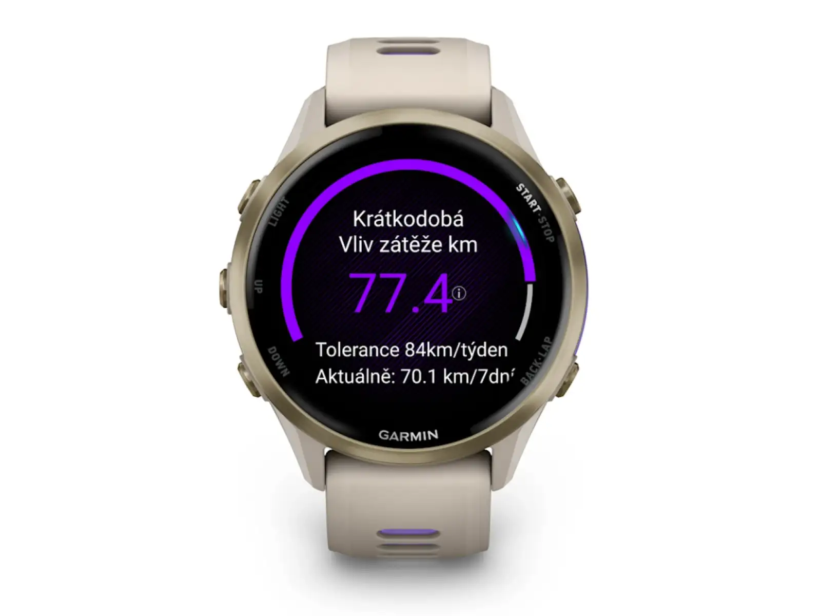 Garmin Forerunner 970 chytré hodinky French Grey/Indigo