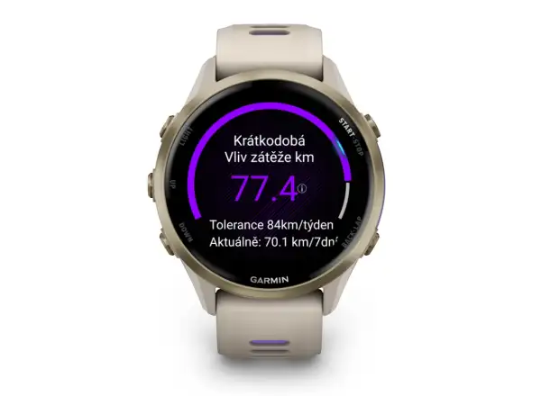 Garmin Forerunner 970 chytré hodinky French Grey/Indigo