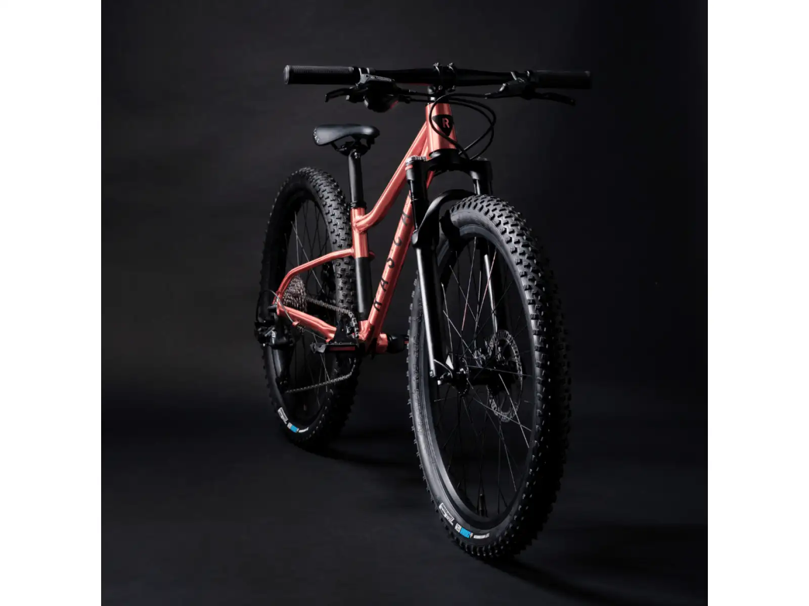 Rascal Wild 24 dětské kolo Bronze