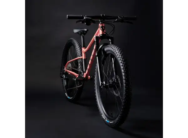 Rascal Wild 24 dětské kolo Bronze