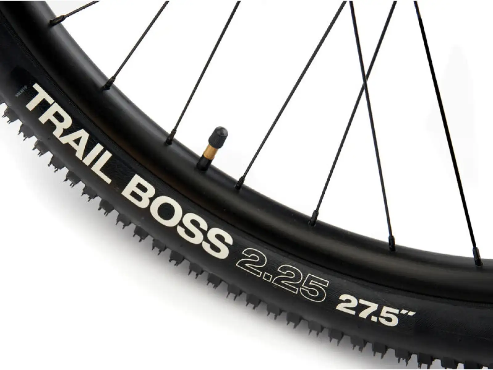 Kona 36e Fire Mountain horské kolo Blue