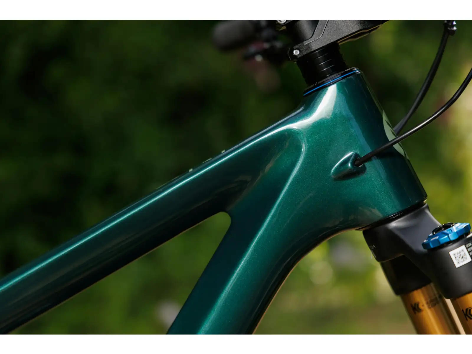 Ibis Ripley V5 X0 T-type AXS horské kolo Green Flash