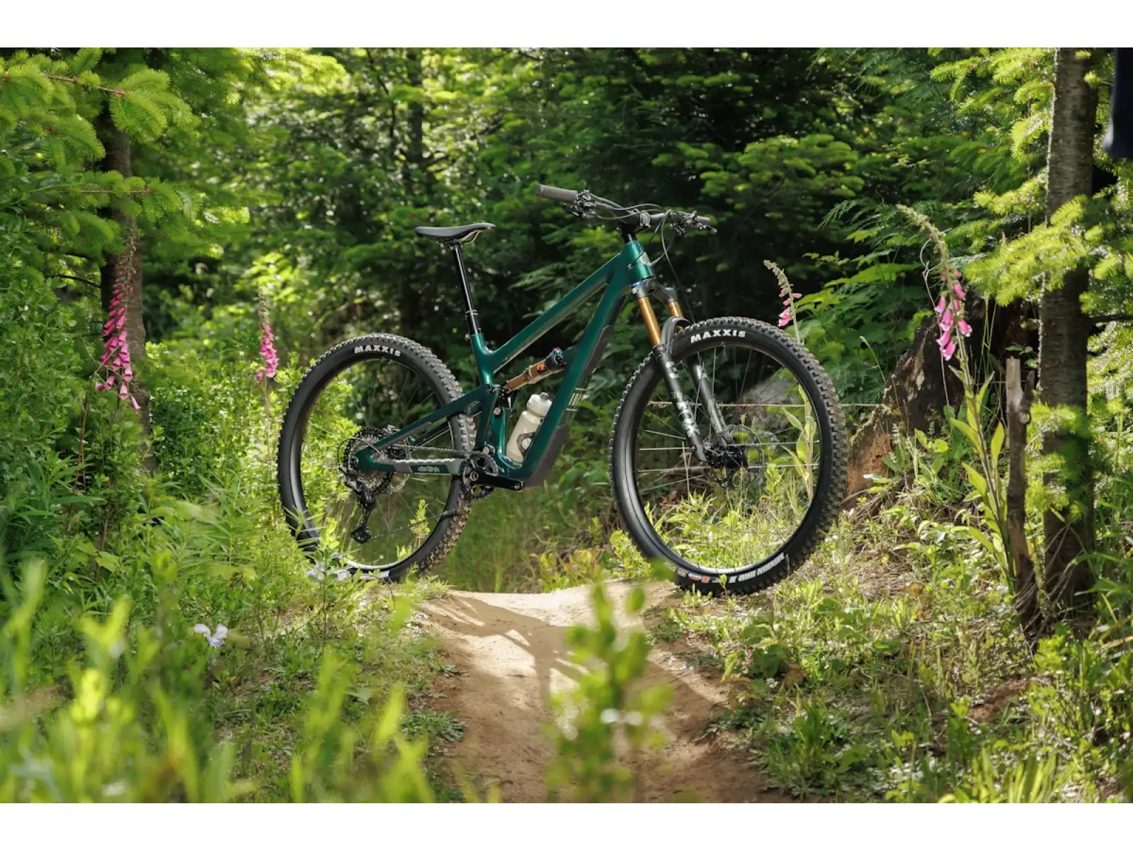 Ibis Ripley V5 GX T-Type AXS horské kolo Green Flash