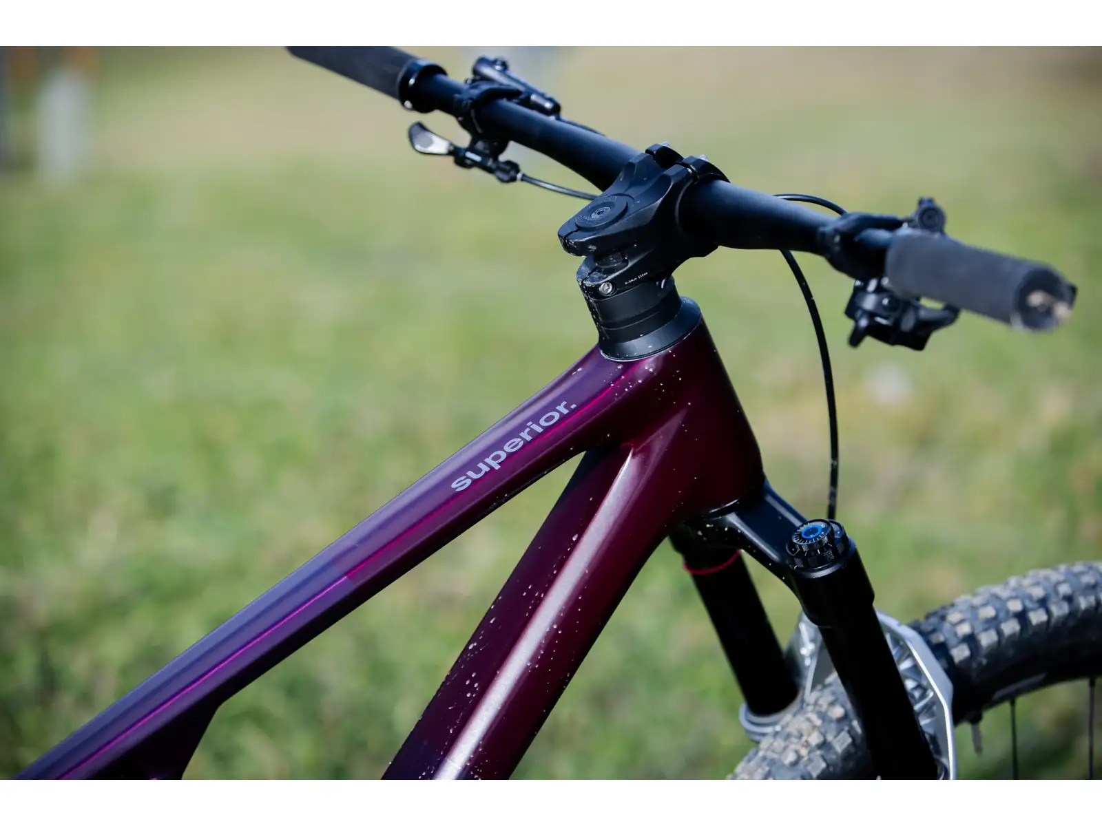 Superior XF 9.7 DC horské kolo Matte Berry Carbon