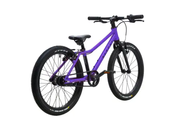 Rascal 20 dětské kolo Amethyst Limited