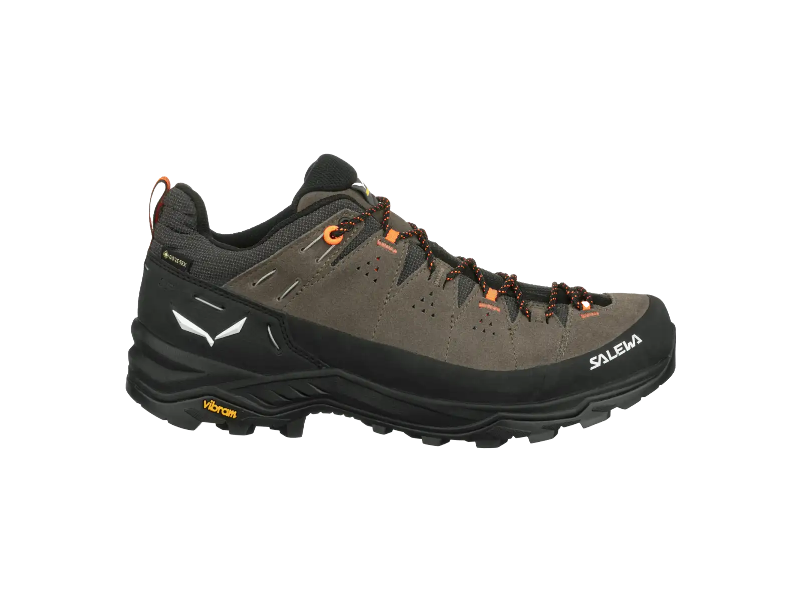 Salewa Alp Trainer 2 GTX pánské boty Bungee Cord/Black