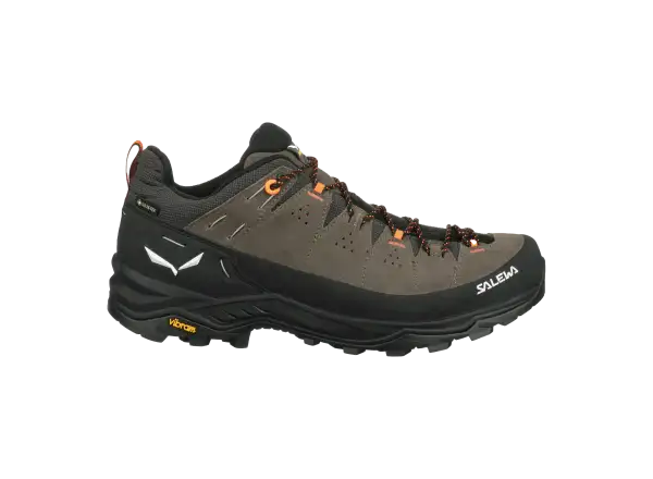 Salewa Alp Trainer 2 GTX pánské boty Bungee Cord/Black