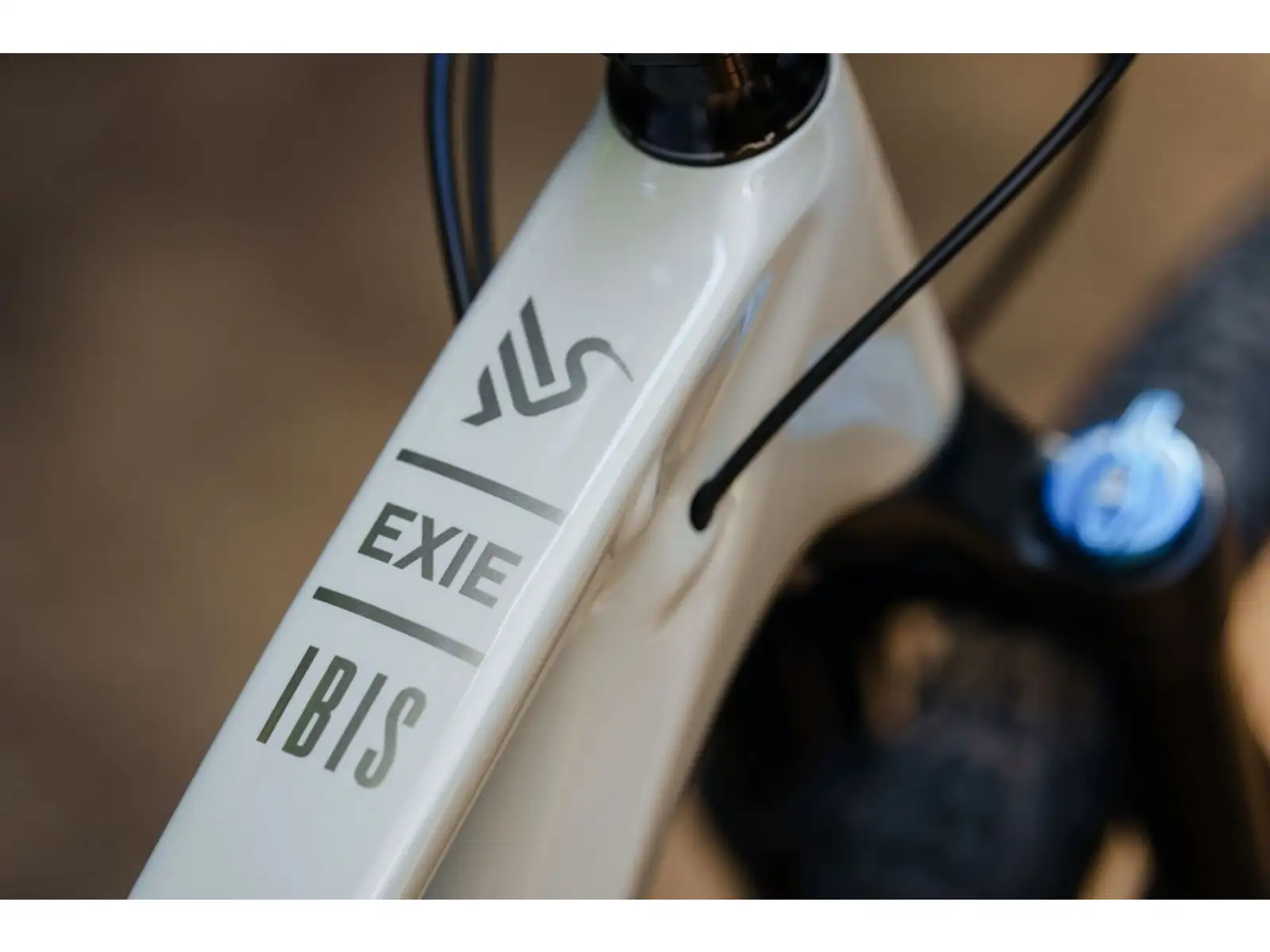 Ibis Exie V2 SLX 29" horské kolo bone
