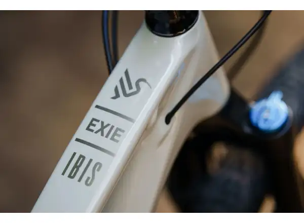 Ibis Exie V2 SLX 29" horské kolo bone