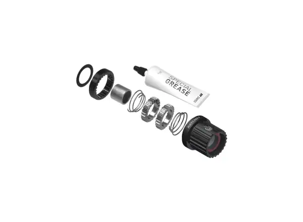 DT Swiss Kit Ratchet LN Shimano MicroSpline MTB Alu - přestavbový kit nábojů 3pawls na Rat