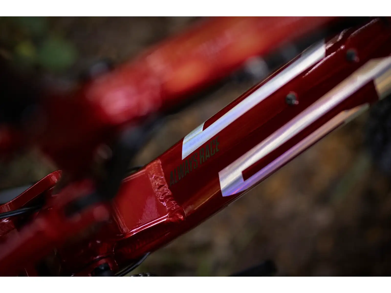 Superior XF 919 RC horské kolo Gloss Dark Red/Hologram Chrome