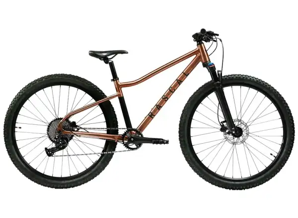 Rascal Wild 27 dětské kolo Bronze