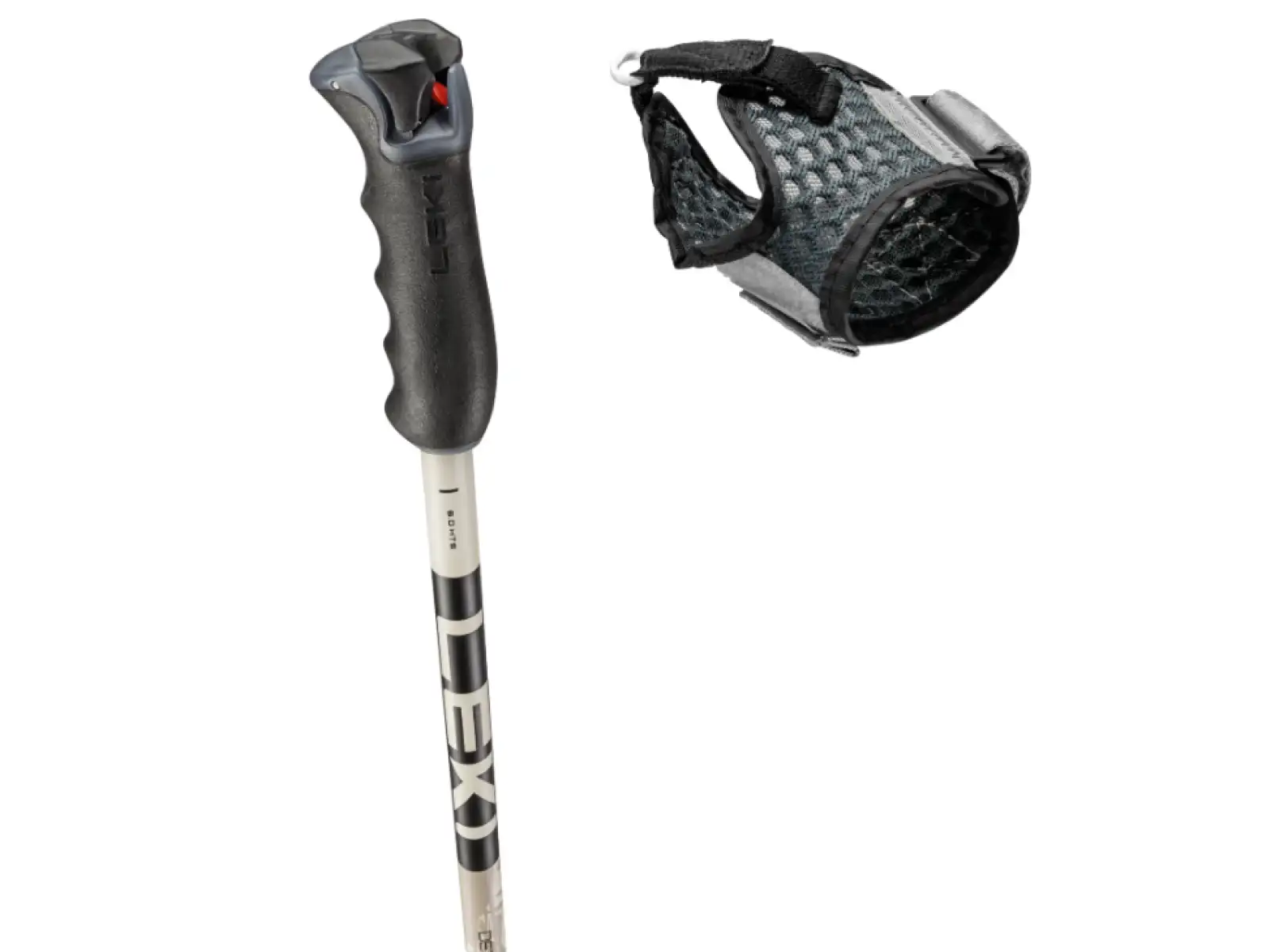 Leki Detect S Vario sjezdové hole Warm Grey Light/Warm Grey Dark/Black