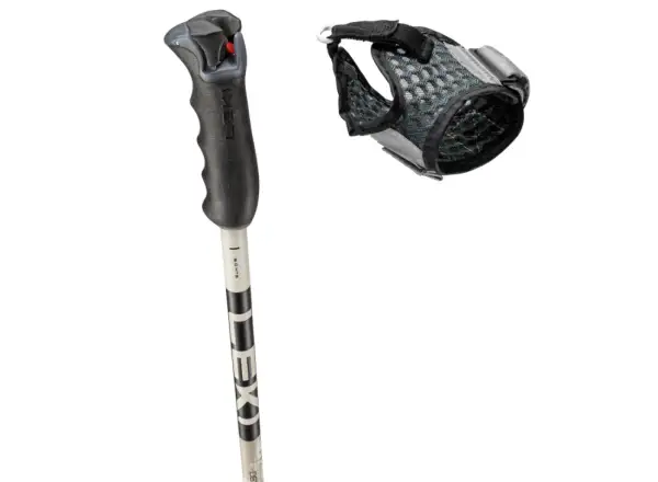 Leki Detect S Vario sjezdové hole Warm Grey Light/Warm Grey Dark/Black