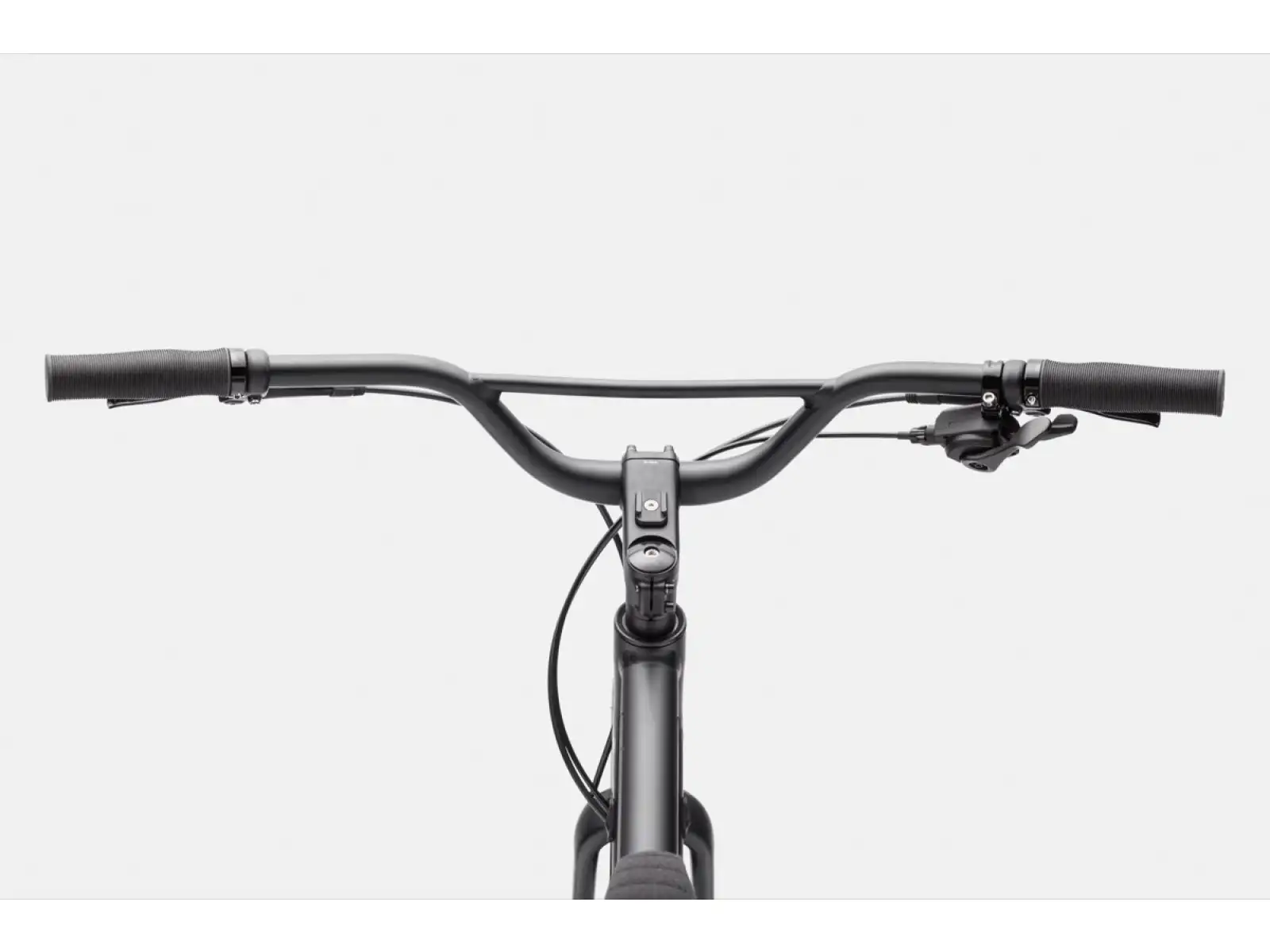 Cannondale Treadwell 2 Ltd fitness kolo Raw