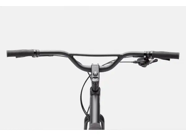 Cannondale Treadwell 2 Ltd fitness kolo Raw